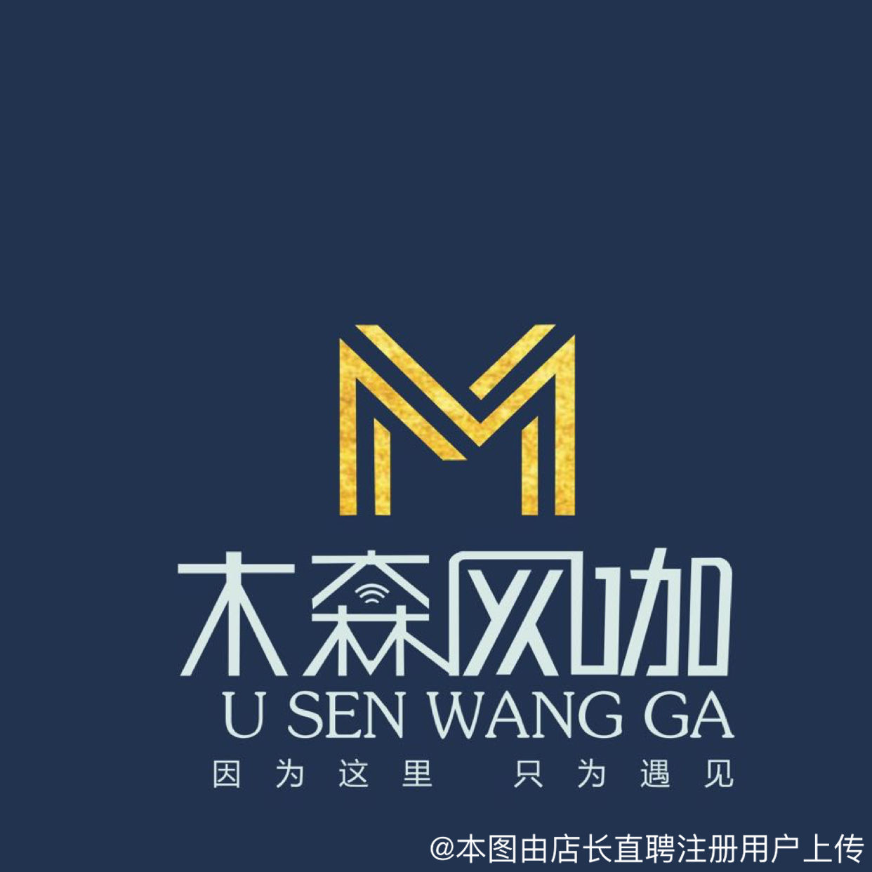 宜昌木森網絡科技